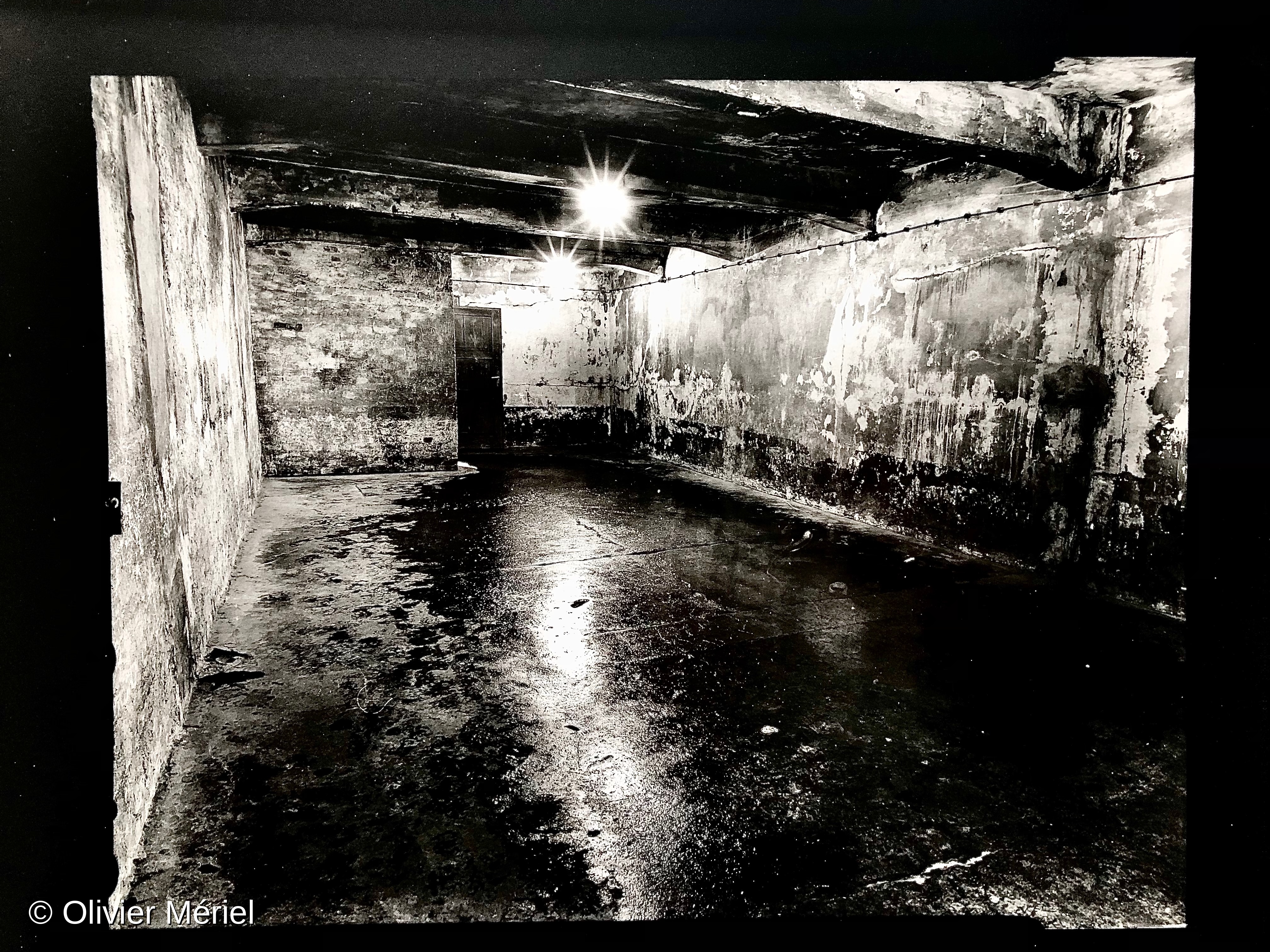 Auschwitz : au-delà de l'abîme — photo 2