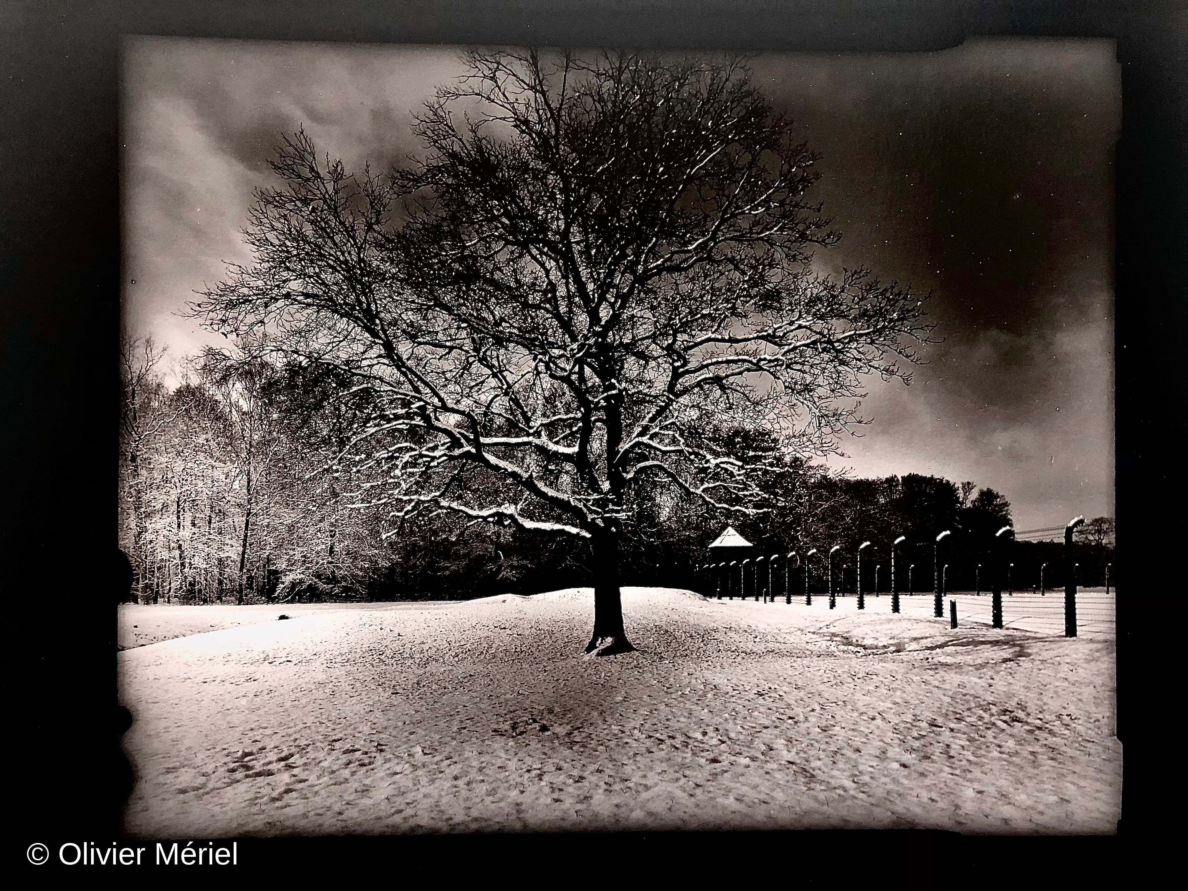 Auschwitz : au-delà de l'abîme — photo 6