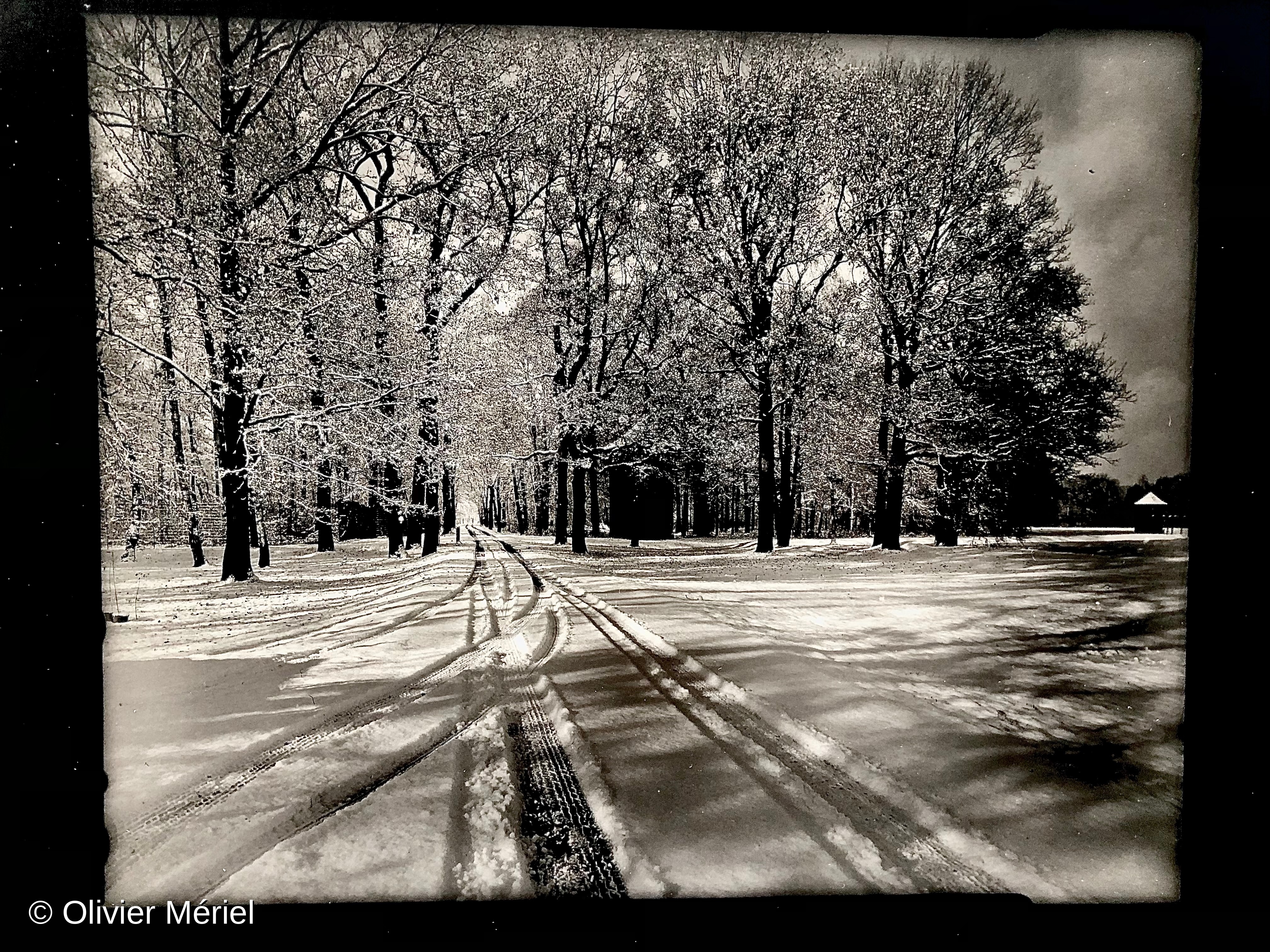 Auschwitz : au-delà de l'abîme — photo 8