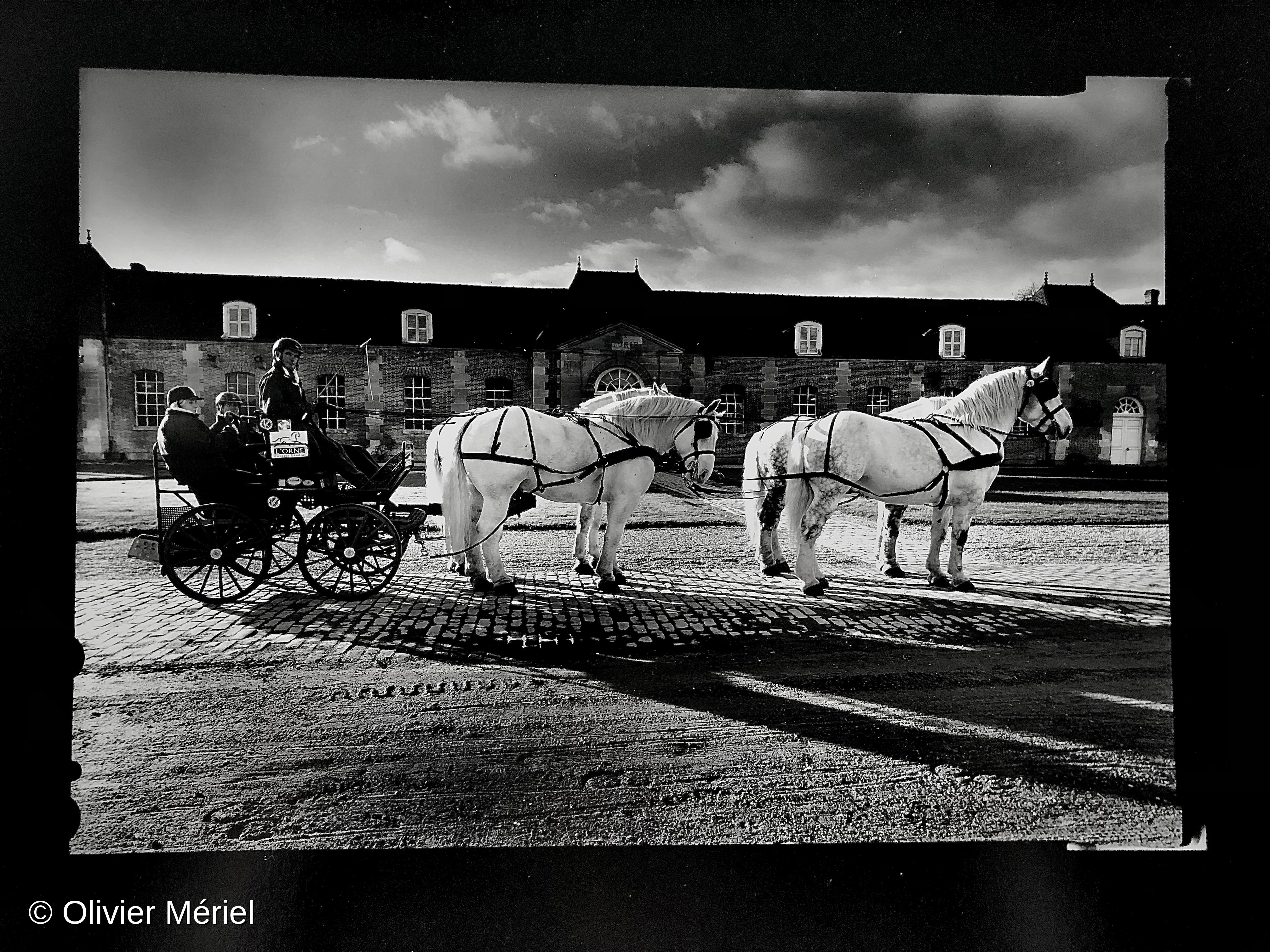 Le Haras du Pin: France’s National Stud — photo 3