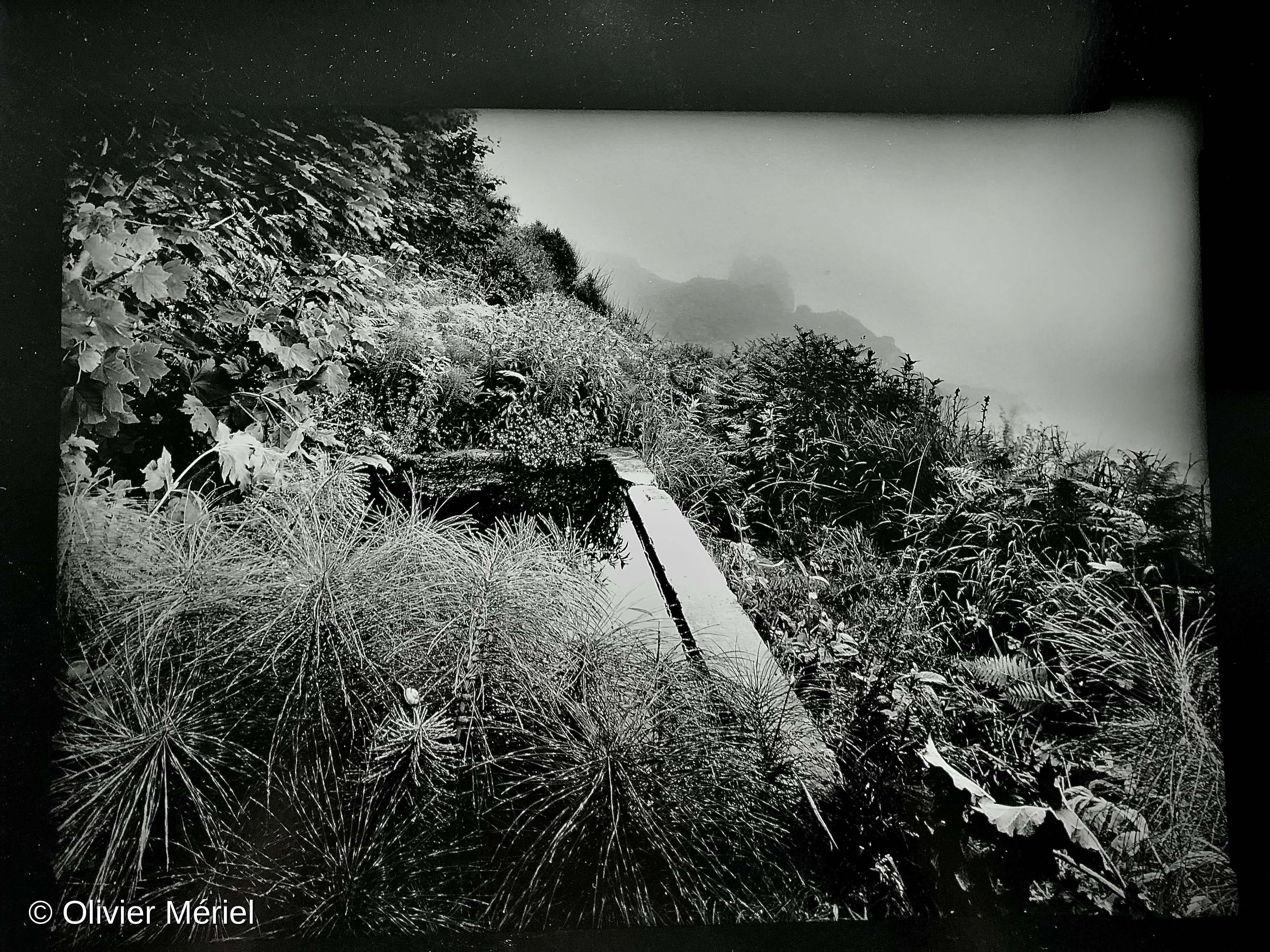 Mysterious Landscapes — photo 2