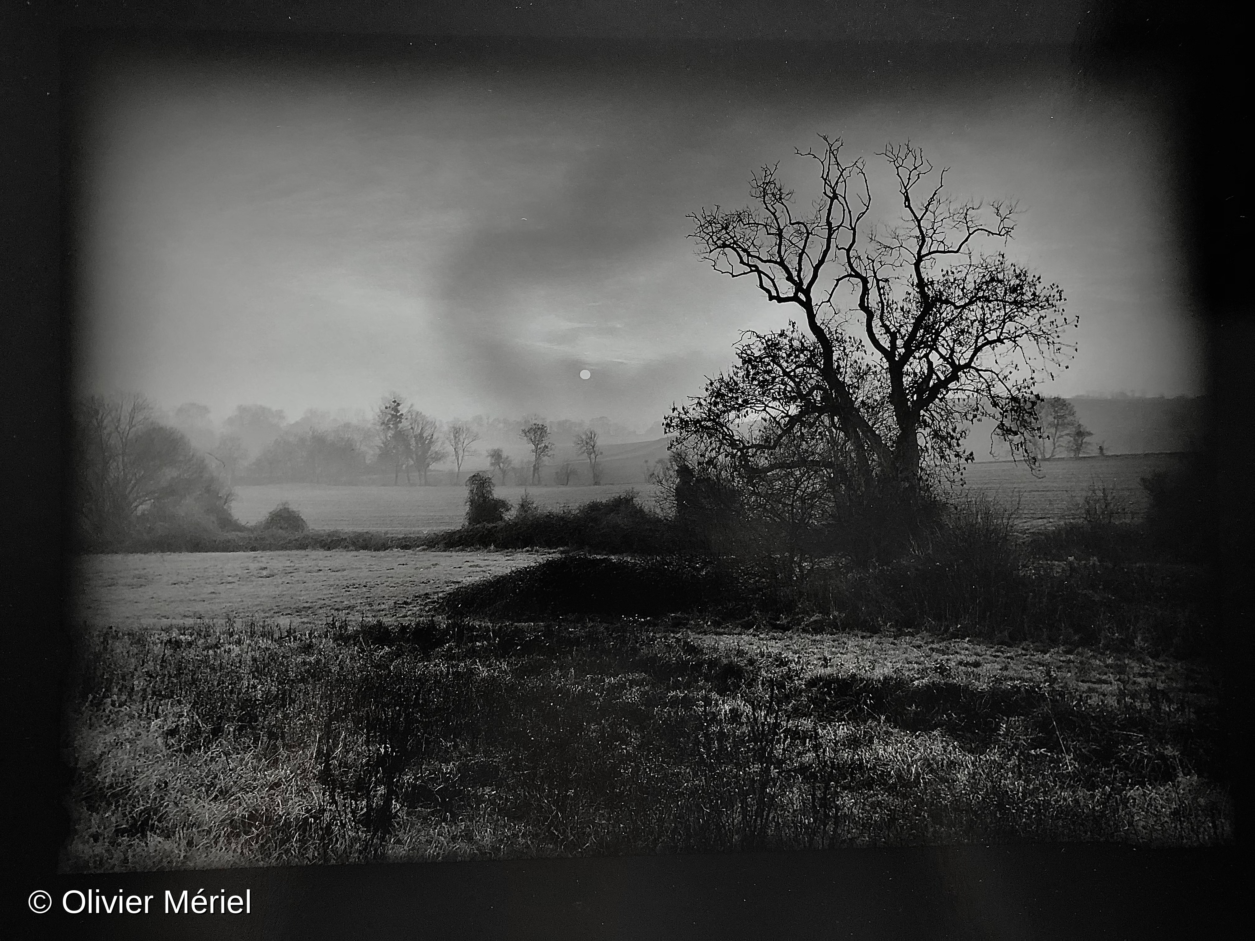 Mysterious Landscapes — photo 3