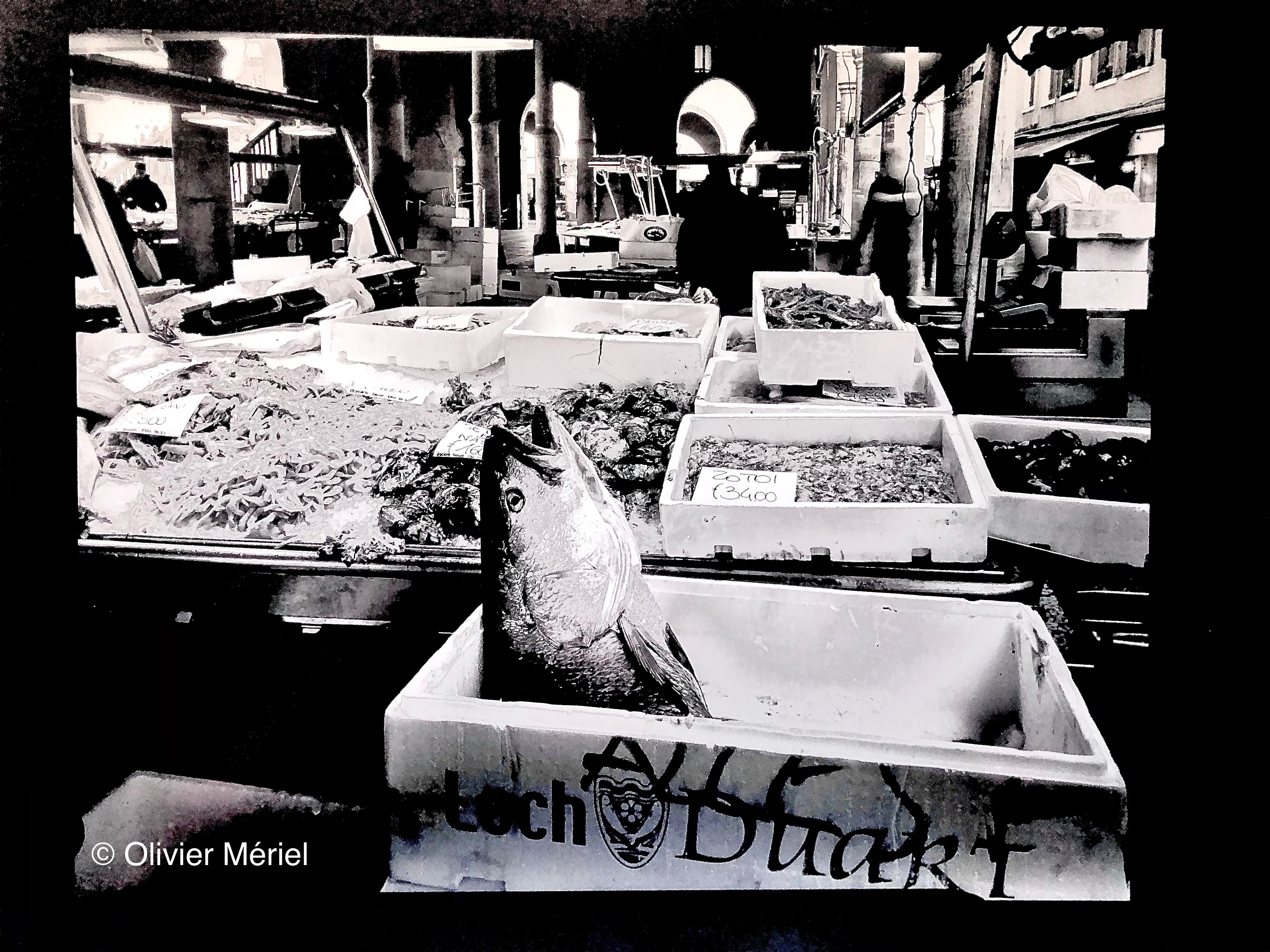 Venice — photo 2